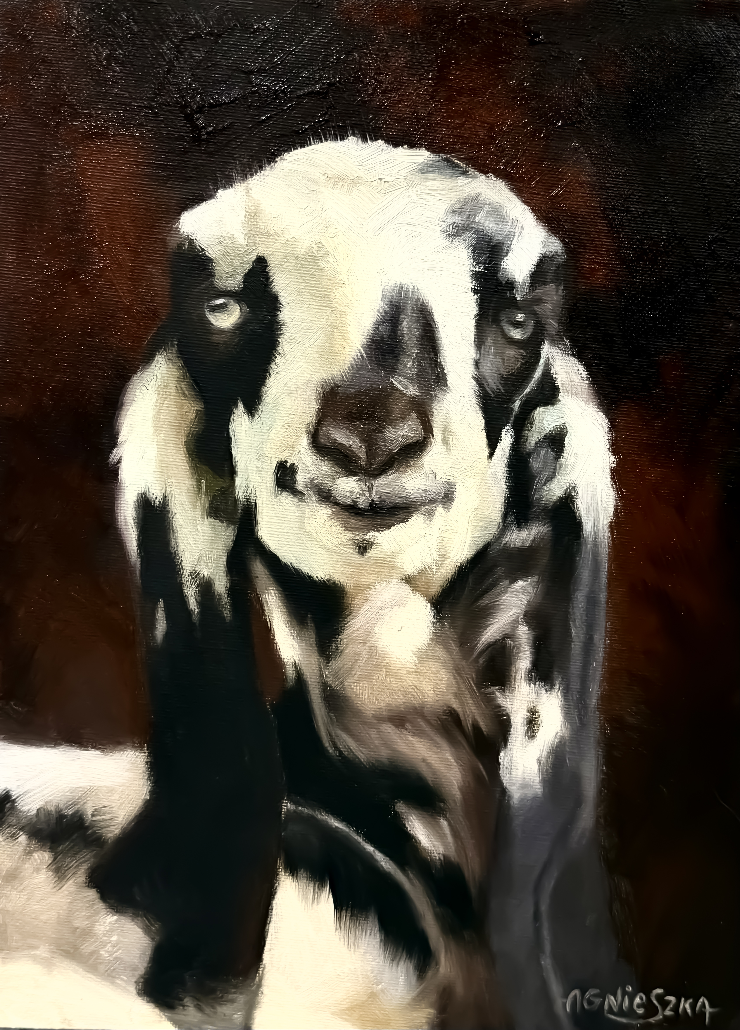 Nubian Goat / Framed